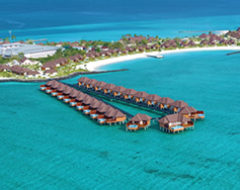 Carbon Free Dining - Lime & Chili - Varu Atmosphere